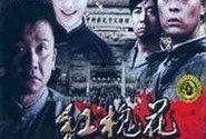 电视剧红槐花在线观看,烽火岁月里的家国情怀